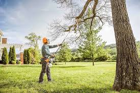 Best Arborist Consultation Services  in Dove Valley, CO