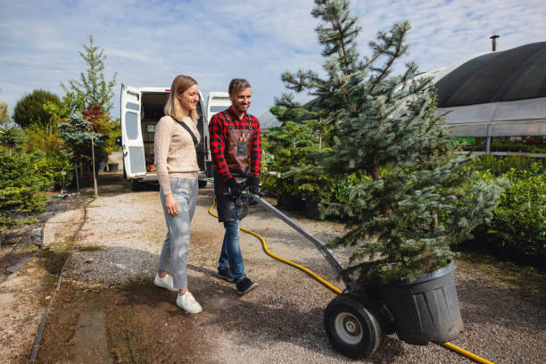 Best Tree Maintenance Programs  in Dove Valley, CO